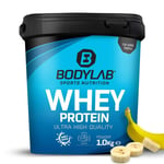 Bodylab24 Whey Protein Powder Banana 1kg, Protein-Shake for Weight Training