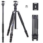 INNOREL RT45A+D34 Trépied Professionnel en Alliage d'aluminium 6061 pour Appareil Photo Reflex numérique, caméscope avec tête sphérique à Profil Bas de 34 mm, Charge 15 kg