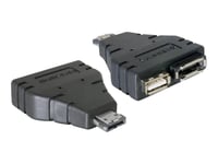 Delock Power Over ESATA adapter - Adaptateur eSATA Power Over - Serial ATA 150/300 - USB, eSATA pour eSATAp (M)