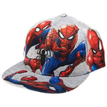 Marvel Comics Mens Spiderman Character Costume Embroidered/Printed Snapback Flatbrim Baseball Cap Hat, Grey, One Size