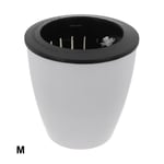 Pot de fleurs paresseux en plastique,pot d'arrosage automatique,pot de fleurs hydroponique,série porcelaine 216.239.,six tasses,disponible pour la sélection,1 ensemble - Type M