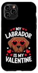 iPhone 11 Pro Chocolate Labrador My Valentines Hearts Day Dog Mom Dad Case