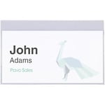 Pavo Name Badge Pin 9 x 5.4 x 5.4 cm PVC (Polyvinyl Chloride) Pack of 50