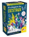 Lisciani - I'M A GENIUS - À la Découverte des Cristaux pour Enfants dès 8 Ans - Kit Expériences Scientifiques - Création de Cristaux de Sucre Colorés - Magie de la Cristallisation - Fabriqué En Italie