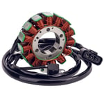 Tlily - Bobine de Stator MagnéTo pour YFM550 YFM700 Grizzly 550 700 09-15 28P-81410-00