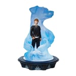 Harry Potter Ron & Patronus Statue multicolour