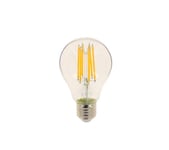 Ampoule éclairante LED 10,6W équiv 100W 1521lm E27 Transparent