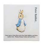 Beatrix Potter Plaque Murale Peter Rabbit
