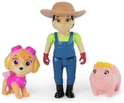 PAW Patrol Core Hero Pups Solid