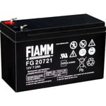 Fiamm FG 20721 12V - 7,2Ah