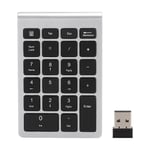 RF304 22 tangenter numeriskt tangentbord USB 2.4G trådlöst minitangentbord med mottagareSilver Black