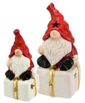 Flair Flower Lot de 2 Figurines décoratives de Noël - Lutin sur Emballage Cadeau - avec lumière LED - Décoration de Noël - Statue décorative