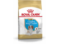 Royal Canin Cavalier King Charles3182550813051, Voksen, Alle Hunderaser, X-Small (< 4Kg), Fjærfe, 1,5 Kg