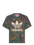 Adidas Originals Adidas X Farm Trefoil Tee Grön