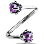 OUFER Body Piercing Helix Earring 16G 316L Stainless Steel Dragon Claw with Amethyst Center Twist Lip Labret Piercing Jewellery Cartilage Earring steel