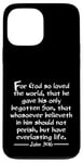 iPhone 13 Pro Max John 3:16 Whole Verse King James Bible For God So Loved KJV Case