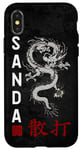 iPhone X/XS Dragon Sanda Chinese Boxing Case