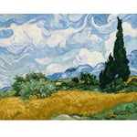 N/C Aint By Numbers Kits Acrylic Paints Set Diy Canvas Oil Painting Gift Kits Home Decoration- Van Gogh Painted The Sky 16*20 Inch