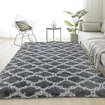 Tinyboy-hbq Tapis Chambre Moelleux Tapis de Chambre à Coucher Antidérapant Tapis de Sol de Salon Shaggy Décor à la Maison Enfants Tapis de Sol (Gris, 140 * 200cm)