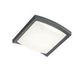 Redo 90007 - LED-ulkokattovalaisin TALLIN LED/21W/230V IP54 harmaa