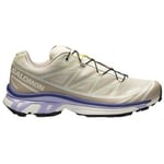 Chaussures Salomon  Baskets XT-6 Femme Almond Milk/Silver Cloud/Liberty