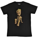 Guardians Of The Galaxy Unisex Vuxen Groot T-shirt S Svart Black S