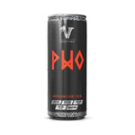 PWO Dyck - 330 ml - Energy Drink Flavor - Viking Power PWO - Citrullinmalat, Beta-alanin, Koffein, Energidryck