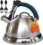 Whistling Kettle for Gas or Induction Stove Top 3L Stainless Steel iCool Handle