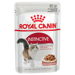 Ekonomipack: Royal Canin våtfoder 96 x 85 g - Instinctive i sås