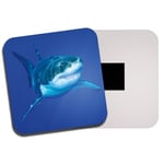 Great White Shark Fridge Magnet - Ocean Sea Predator Diver Marine Fun Gift #8577