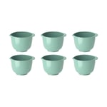 Rosti Margrethe miniskål 25 ml 6-pack Nordic green