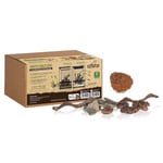 REPTILES PLANET - Repti Nature Coco - Kit Substrat Coco et Décoration pour Terrarium