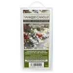 Yankee Candle Wax Melts Scented Home Room Fragrance Pepperberry Pine 75g