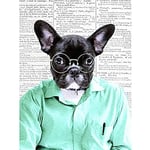 Artery8 Nerdy French Bulldog Upcycle Style Dictionary Art Print Canvas Premium Wall Decor Poster Mural