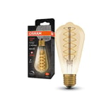 OSRAM Lampe LED Vintage 1906 avec teinte dorée, 7W, 600lm, forme Edison avec 95 mm de diamètre et prise E27, couleur de lumière blanche chaude, filament en spirale, dimmable de durée de vie