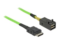 Delock - Intern Sas-Kabel - Sas 32Gbit/S - Oculink (Sff-8611) (Hane) Till Mini Sas Hd (Sff-8643) (Hane) - 1 M