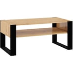 Bestmobilier - Donnely - table basse - bois et noir - 110 cm - noir / bois