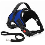 Musonic No Pull Dog Harness Breathable Adjustable Comfort Free Lead Included for Small Medium Large Dog Best for Training Walking XL Blue