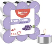 Bolsius True Scents - Lot de 18 Bougies Chauffe-Plat Parfum - Lavande - Durée de Combustion: 4 Heures - Décoration d'intérieur - Extraits naturels - avec Cire Naturelle végétalienne