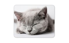 Beautiful Grey Kitten Mouse Mat Pad - Cat Mum Student Uni Computer Gift #15406