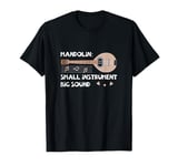 Mandolin Small Instrument Big Sound Mandolin Player Musician T-Shirt