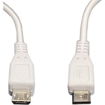 Hobbytech - Adaptateur Micro usb vers Ethernet RJ45