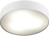 Ceiling Lamp Nowodvorski Arena 3X20w (6724)