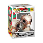 Funko Pop! Movies: Jurassic Park Hatchling - Stygimoloh - Stygimoloch - Figurine en Vinyle à Collectionner - Idée de Cadeau - Produits Officiels - Jouets pour Les Enfants et Adultes