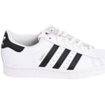 Baskets adidas  Baskets Superstar en cuir