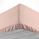 Douceur D'intérieur - Drap housse 160x200 cm - Bonnet 30 cm - 100% coton