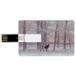 64GB USB Flash Drives Credit Card Shape Equestrian Memory Stick Bank Card Style Lonely Horse in Forest Stands Behind Leafless Trees Winter Snowy Panorama,Multi Waterproof Pen Thumb Lovely Jump Drive U