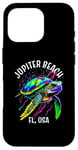 iPhone 16 Pro Jupiter Beach Florida USA Abstract Turtle Design Case