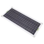 Vvikizy Kit de démarrage de panneau solaire Panneau de solaire 12V à 220V 30W, onduleur solaire 220W, Kit de chargeur jardin borne