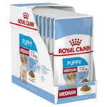 12 X Royal Canin Medium Puppy Wet Dog Food - 0-12 Months Or 11-25kg Adult - 140g
